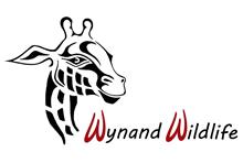 Wynand Wildlife golden kings wildebeest bulls heifers cows splits