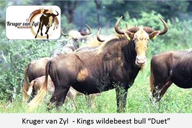 Kruger van Zyl