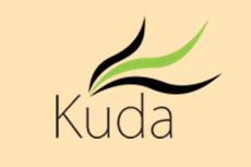 Verseker van wild kuda versekering